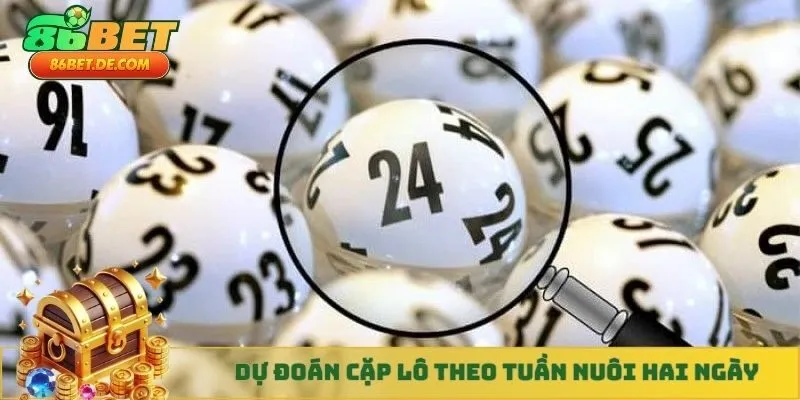 Dự đoán cặp lô theo tuần nuôi hai ngày