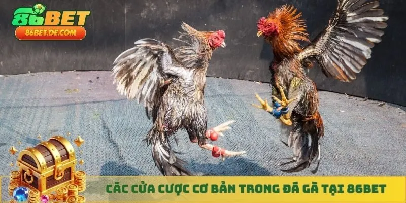Tại đá gà 86BET sẽ có 3 cửa cược chính cho bạn tham gia đặt cược